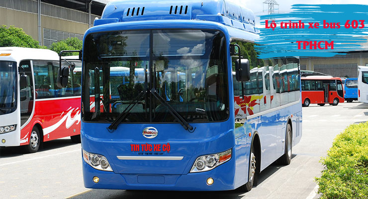 xe bus 603 tphcm